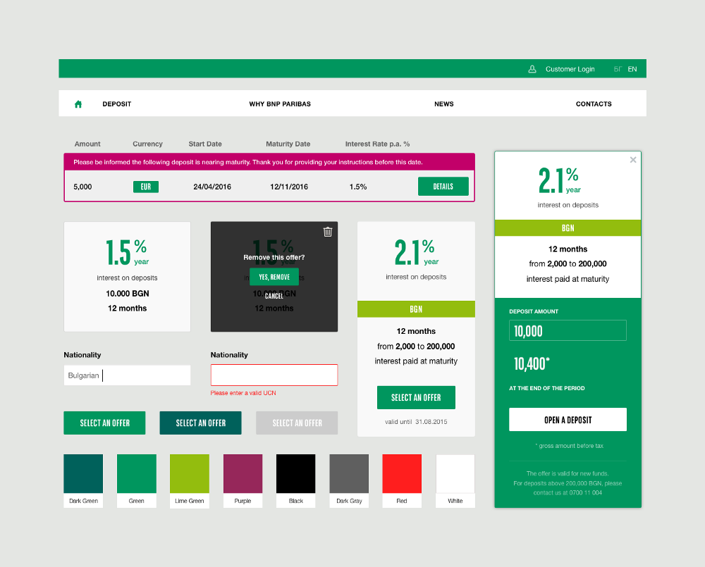 Style guide created by Despark for BNP Paribas