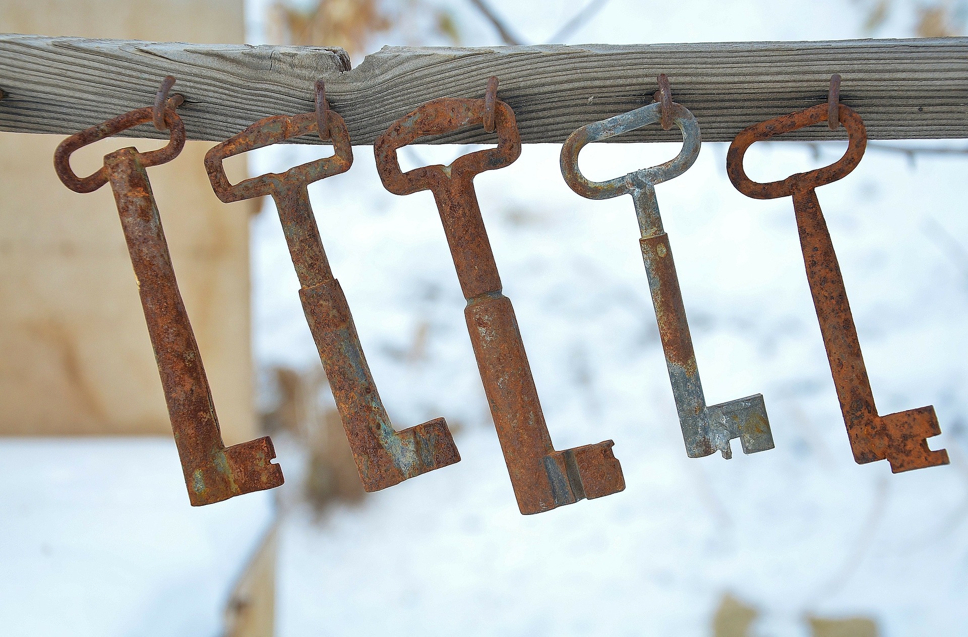 Photo of keys hanging in a row / by GLady/ Pixabay